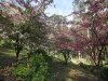 Real Estate and Property in 36 Anzac Road, Mount Macedon, VIC