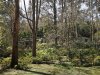 Real Estate and Property in 36 Anzac Road, Mount Macedon, VIC