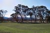 Real Estate and Property in 36 Saunders Road, Newham, VIC