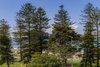 3/67 Gerrale Street, Cronulla NSW 2230  - Photo 4