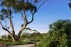 Real Estate and Property in 37 Capstan Crescent, Curlewis, VIC