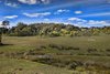 Real Estate and Property in 377 Malmsbury-Metcalfe Road, Malmsbury, VIC