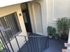 38A Bucknell Street, Newtown NSW 2042  - Photo 5