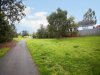 Real Estate and Property in 39 Asquith Street, Kew, VIC