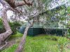 https://images.listonce.com.au/custom/l/listings/4-allinga-lane-fairhaven-vic-3231/501/00473501_img_08.jpg?Cz2U584LMs8