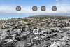 https://images.listonce.com.au/custom/l/listings/4-sydney-avenue-geelong-vic-3220/348/01972348_img_24.jpg?PHr8f49Stmk