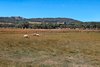 Real Estate and Property in 40 Institute Road, Carlsruhe, VIC