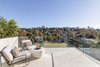 41 Carlotta Road, Double Bay NSW 2028  - Photo 3