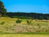 Real Estate and Property in 41 Plantation Drive, Barwon Heads, VIC