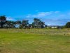 Real Estate and Property in 41 Plantation Drive, Barwon Heads, VIC
