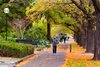 Real Estate and Property in 41/449-453 St Kilda Road, Melbourne, VIC