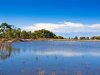 Real Estate and Property in 45 Soho Road, Drysdale, VIC