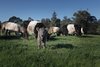 Real Estate and Property in 451 Couangalt Road, Gisborne South, VIC