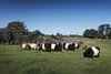 Real Estate and Property in 451 Couangalt Road, Gisborne South, VIC