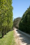 Real Estate and Property in 47 Tweddle Road, Gisborne South, VIC