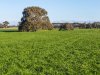 Real Estate and Property in 48 Dawber Rd , Inverleigh, VIC