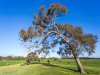 Real Estate and Property in 48 Dawber Rd , Inverleigh, VIC