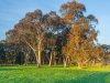 Real Estate and Property in 48 Dawber Rd , Inverleigh, VIC