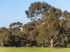 Real Estate and Property in 48 Dawber Rd , Inverleigh, VIC
