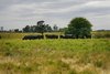 Real Estate and Property in 483 Redesdale Road, Kyneton, VIC
