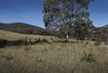 Real Estate and Property in 49 Lowry Drive, Woodend, VIC