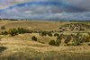 Real Estate and Property in 496 Chintin Road, Monegeetta, VIC