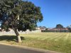 Real Estate and Property in 5 Gibson Grove, St Leonards, VIC