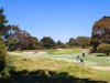 Real Estate and Property in 5 Shelly Court, Portsea, VIC