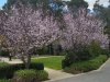 Real Estate and Property in 5 Timothy Court, Templestowe, VIC