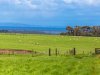 Real Estate and Property in 50 Banks Road, Mannerim, VIC