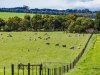 Real Estate and Property in 50 Banks Road, Mannerim, VIC