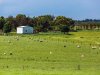 Real Estate and Property in 50 Banks Road, Mannerim, VIC