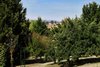 Real Estate and Property in 50 Heddle Road, Lancefield, VIC