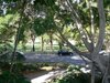 5/1 Latimer Road, Bellevue Hill NSW 2023  - Photo 7