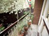 Real Estate and Property in 5/2 Ash Grove, Caulfield, VIC