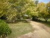 https://images.listonce.com.au/custom/l/listings/541-princes-hwy-orbost-vic-3888/398/00512398_img_15.jpg?YO-d_c900jI