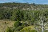 557 The Lookdown Road, Bungonia NSW 2580  - Photo 7
