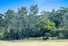 562 Wilson Drive, Balmoral NSW 2571  - Photo 33