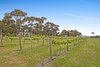 Real Estate and Property in 569 Sutherlands Road, Clarkefield, VIC