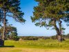 Real Estate and Property in 57 Fourth Loop, Barwon Heads, VIC