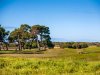 Real Estate and Property in 57 Fourth Loop, Barwon Heads, VIC