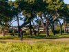 Real Estate and Property in 57 Fourth Loop, Barwon Heads, VIC