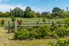 Real Estate and Property in 58 Harpers Lane, Kyneton, VIC