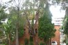 58 Parramatta Street, Cronulla NSW 2230  - Photo 1