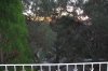 58 Parramatta Street, Cronulla NSW 2230  - Photo 4