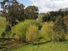 Real Estate and Property in 589 Baynton Road, Kyneton, VIC