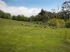 Real Estate and Property in 589 Baynton Road, Kyneton, VIC