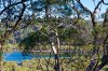 59 Grays Point Road, Grays Point NSW 2232  - Photo 4
