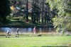 6 Acer Court, Bowral NSW 2576  - Photo 20