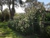 Real Estate and Property in 60 Palmer Crescent, Newham, VIC